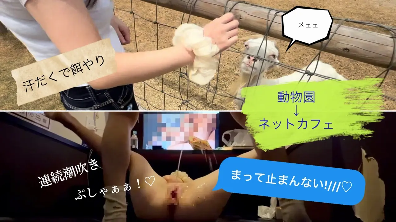 さっきまで楽しそうにヤギに餌やりし...