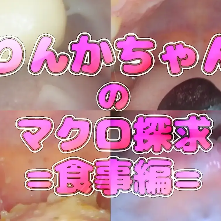 りんかちゃんのマクロ探究=食事編=

りんかちゃんの食事～歯磨き～ツバ垂らしまでを接写いたしました！
お菓子が溶けていく様子・咀嚼されていく様子…
ドロドロになったおくちの中…お楽しみください。

00:30～　①食べ観察（ホワイトチョコ）
04:00～　②グミ呑み
06:35～　③グミ咀嚼
07:50～　 ④スナック
11:00～　⑤パチパチ
14:50～　⑥息吐きかけ
16:30～　⑦歯磨き観察
19:45～　⑧唾スロー

33:00～　⑨EXスロー撮影

全⑨シーン収録！