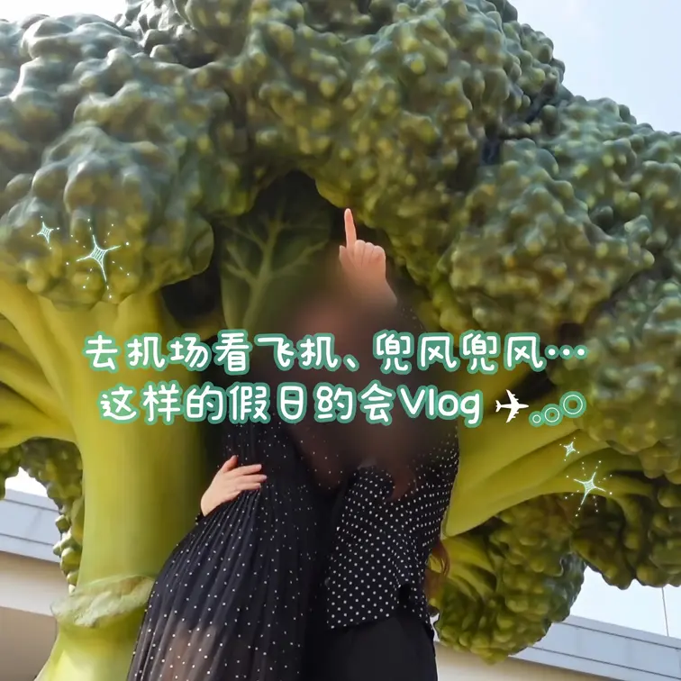 【中文ver】
去机场看飞机、兜风兜风… 这样的假日约会Vlog ✈️𓈒𓂂𓏸