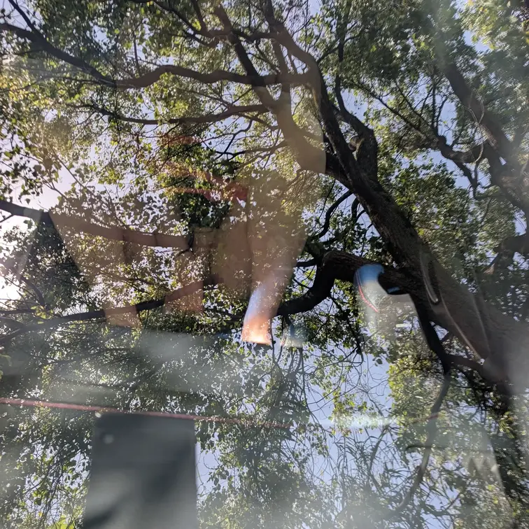 車内🚘️オナニーを💕
ご主人様が外から撮影しました！
覗かれてるって空間にも興奮しますね