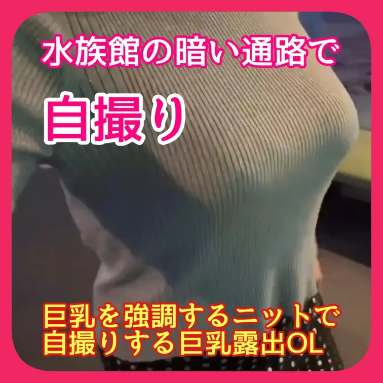 ♥️露出♥️水族館の暗い通路で自撮り
巨乳を強調するニットで
自撮りする巨乳露出OL