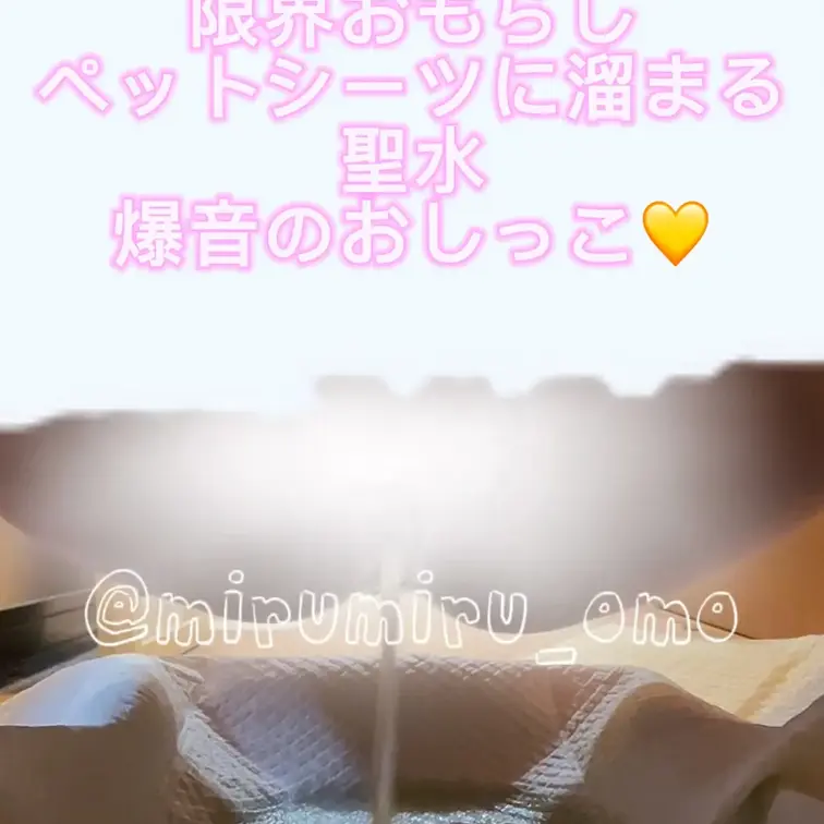 駆け込んで帰宅した後用意されていたのはペットシーツ
そこでおしっこを強要されるため仕方なく放尿
静かな空間に轟くオシ
