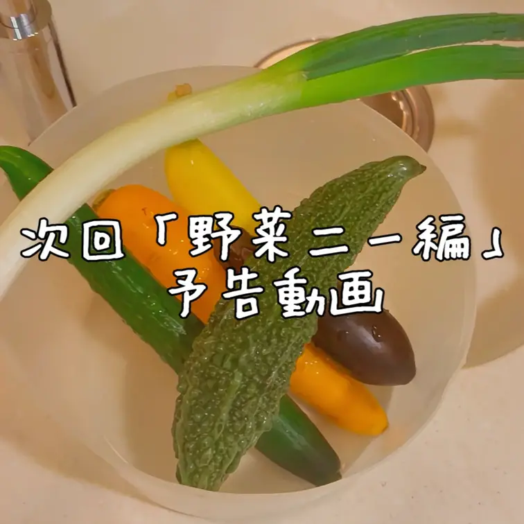 次回「野菜二ー編」予告動画
乞うご期待です♪