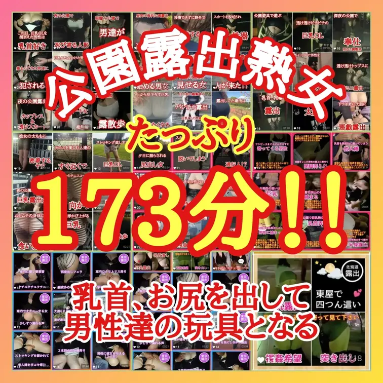 ♥️公園露出熟女♥️たっぷり173分

昼の公園でも夜の公園でも露出する
巨乳露出熟女の動画総集編です
乳首、お