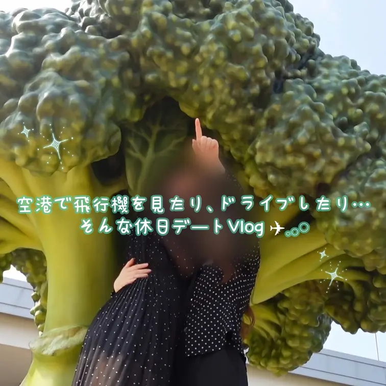 【日本語ver】
空港で飛行機を見たり、ドライブしたり…
そんな休日デートVlog ✈️𓈒𓂂𓏸