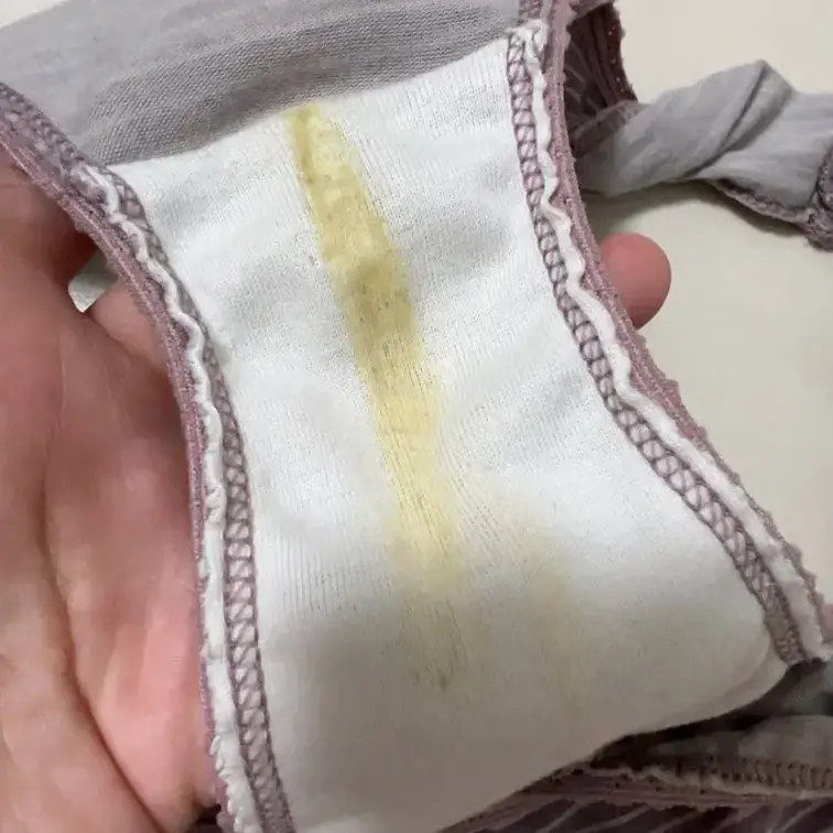 今日のルルの脱ぎたてパンツ🥰