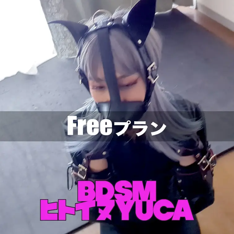 投稿