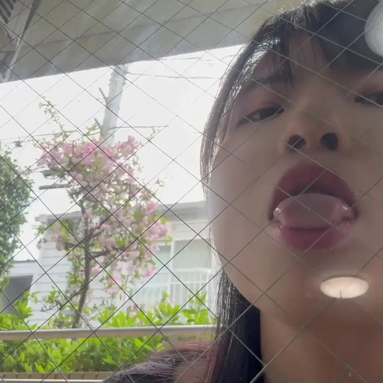 屋外でガラス舐めをします。
外には桜が咲いています☺️