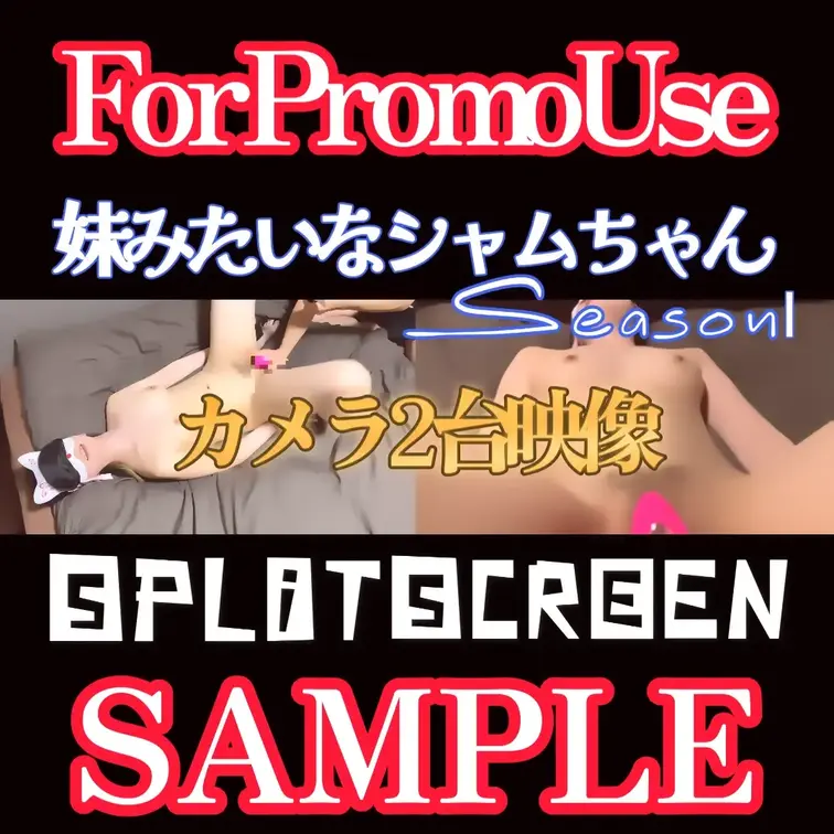 BVPS初のSplitScreen作品の紹介用動画です
妹みたいなシャムちゃんシーズン1の総集編＋SIDEーBを同時に