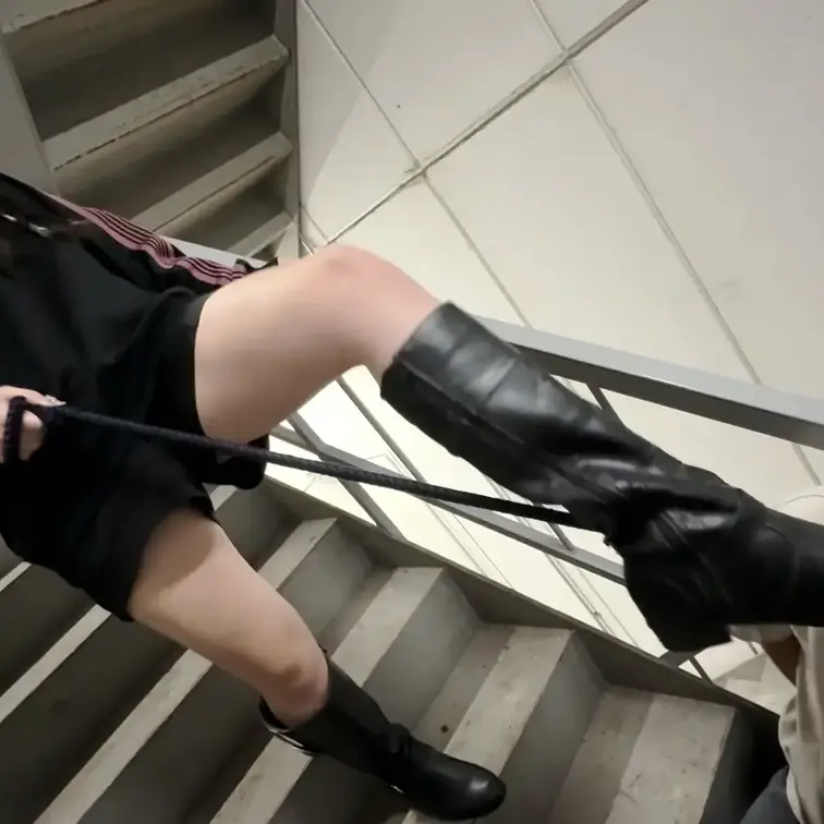 ダイジェスト版