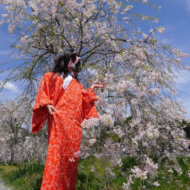 長襦袢で桜とコラボしてきました。