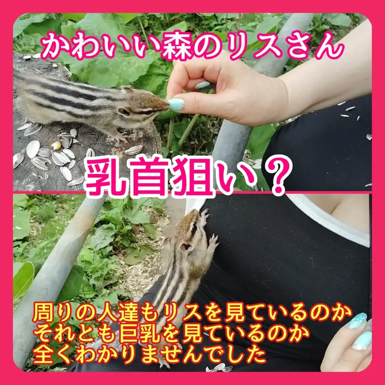 ♥️露出♥️かわいい森のリスさん
乳首狙い？

周りの人達もリスを見ているのか
それとも巨乳を見ているのか
全