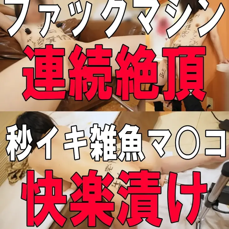 新しいおもちゃを手に入れたので試してみました。
これは新しいおもちゃでは無く工業機械ですな。
延々とアクメを量産する