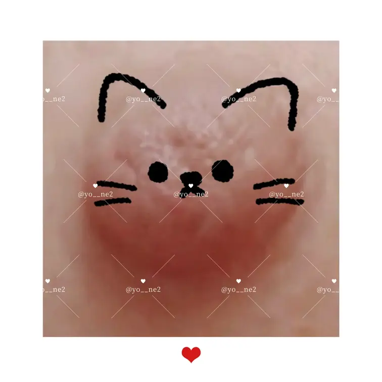 猫ちゃんฅ ˆ.  ̫.ˆ ฅ♡
