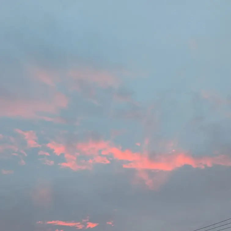 ぶりん