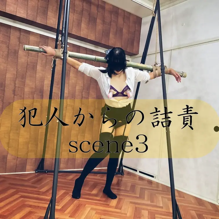 【シーン３】犯人からの詰責
[Scene 3]   sexual interrogation