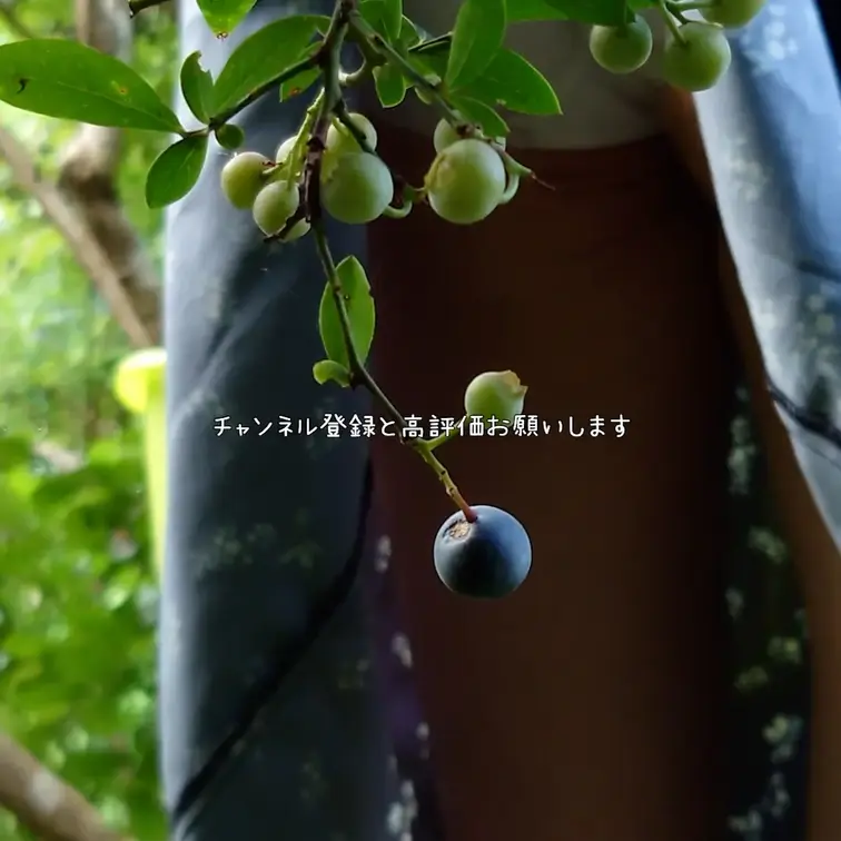紺ワンピ×お気に入りの白インナー☁️｜黒にあわせると、ちょっと大人っぽくなる🌙