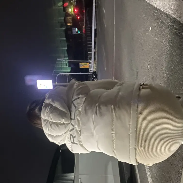 こないだ夜の散歩にでた時のムービー　寒かったですわ