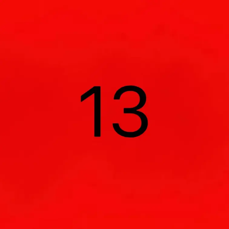１３ハメ