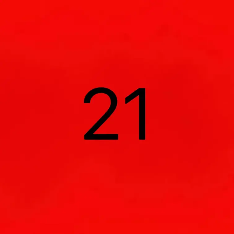２１家事動画
