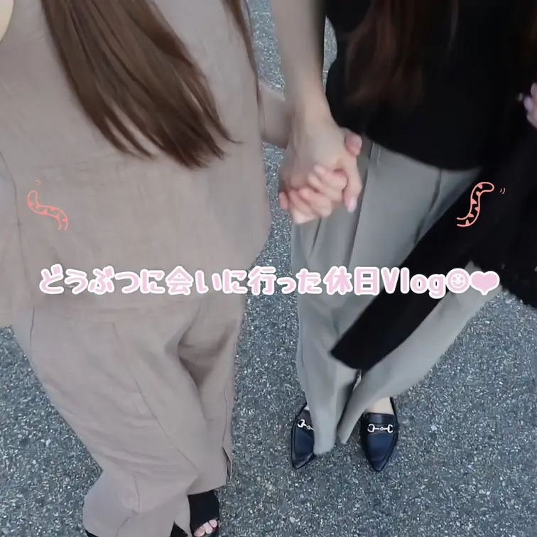 【日本語ver】どうぶつに会いに行った休日Vlog☺︎❤︎