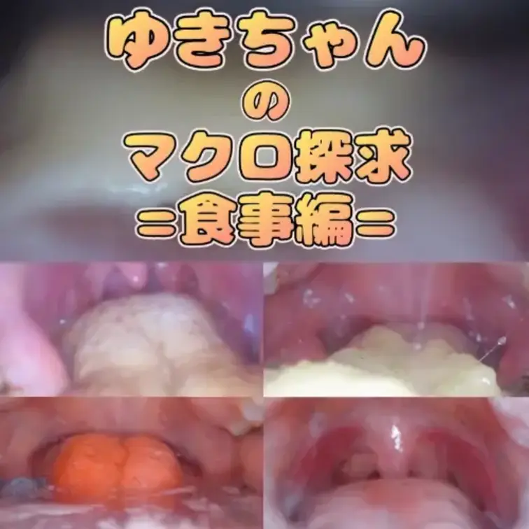 ゆきちゃんのマクロ探究=食事編= 

ゆきちゃんの食事～歯磨き～唾垂らしまでを接写いたしました！
 お菓子が溶けていく様子・咀嚼されていく様子… 
ドロドロになったおくちの中…お楽しみください。 

00:55～　①食べ観察（チョコ） 
04:05～　②食べ観察（ホワイトチョコ） 
07:25～　③食べ観察（グミ呑み）  
11:35～　④食べ観察咀嚼（じゃがりこ） 
14:35～　⑤食べ観察咀嚼（スロー）（パチパチ・ゼリー） 
18:20～　➅息吐きかけ （スロー）
36:35～　⑦歯磨き観察 
40:15～　⑧唾洗浄（唾垂らしスロー） 
53:30～　⑨EXスロー撮影 全⑨シーン収録！ (1/2)