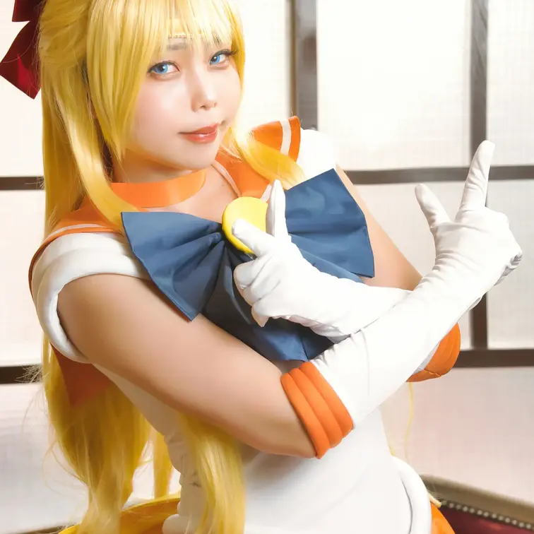 セーラーヴィーナス

応援してくれる方はいいね❤ブックマーク🌟をお願いします