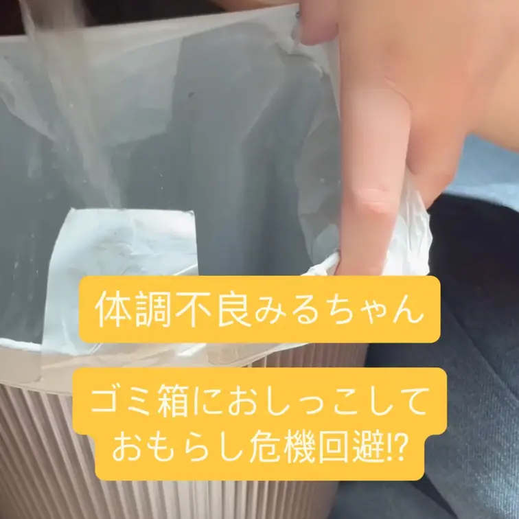 体調不良のみるちゃんおトイレに行けずゴミ箱におしっこ💛
動けないけどこのままだと漏れちゃう…💦
でもお布団を汚しちゃ