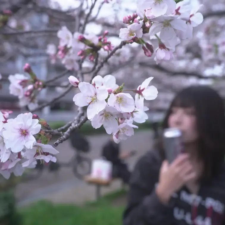 お花見してきました🌸₍ᐢ‥ᐢ₎