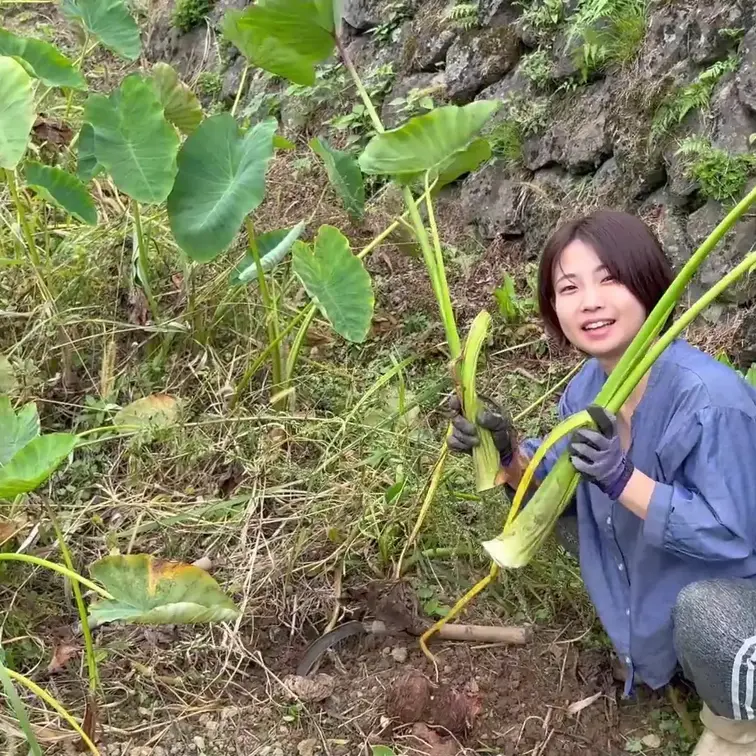 田舎シリーズ2025 ８月
里芋とピーマンの収穫と聖水のおまけ動画付き
「この動画の収益は全て3月に90歳を迎えた祖