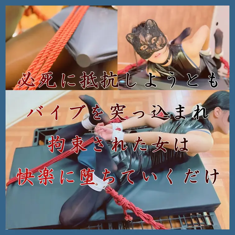 【拘束された女は快楽に堕ちていくだけ】

捕まった女スパイのように。
うつ伏せ、海老反り姿勢で固定された身体。
逃げようと必死に抵抗しても、それを許さない。
奥深くまで突っ込まれたバイブは、徐々に女の抵抗心を崩していく。
膣内で動き続ける刺激に逆らえず。
いつしか快楽に飲み込まれ、女は牝になって堕ちてイク...。

(動画時間：22分58秒)