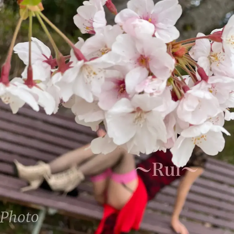 チャイナコスの下にガーターを付けてお花見に行きました❤️
セクシーポーズで撮った写真を見て貰えたら嬉しいです！
プラ