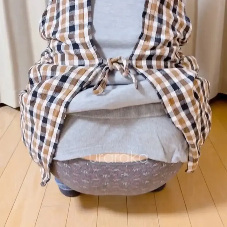 ツバメさんが今年も巣づくりはじめたみたい🌷
下に段ボールひかなくっちゃ👀