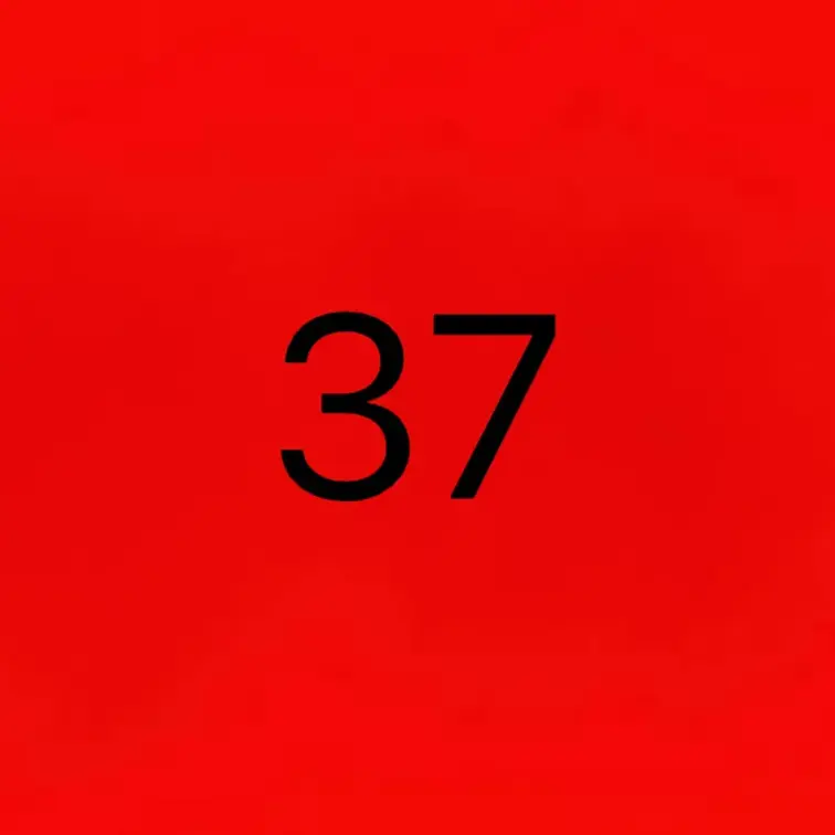 ３７筋トレ