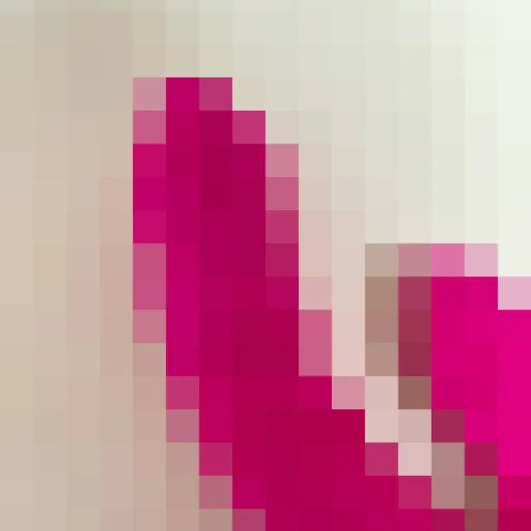 これなんだと思う・・・？／／

