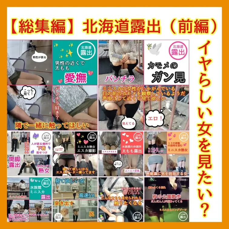【総集編】北海道露出（前編）
ミニスカ熟女はどこででも下着を露出しています

・夜の公園散歩　谷間を晒して揺れまく