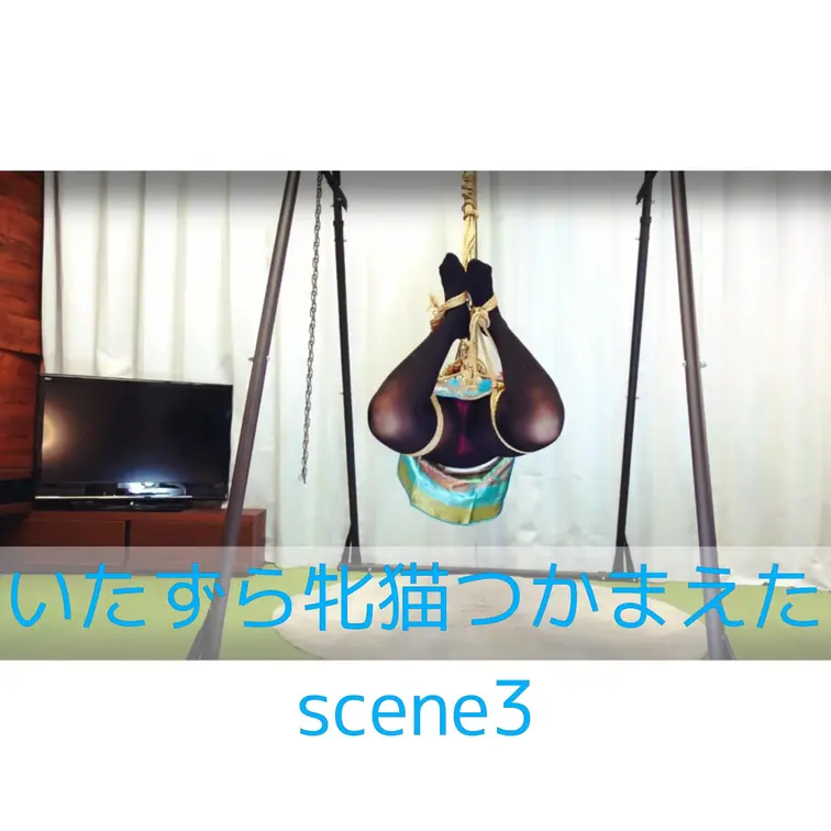 【シーン３】いたずら牝猫つかまえた
[Scene 3] Caught a naughty female cat