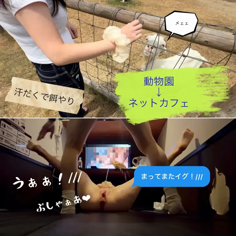 さっきまで楽しそうにヤギに餌やりしてた子が
ネットカフェで下品に大量潮吹きアクメかましてること、
飼育員さんは知らないんだろうな〜。