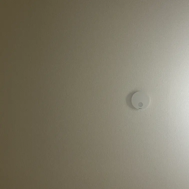揺らしてるだけです〜！🙇‍♀️

久々の動画です🫶