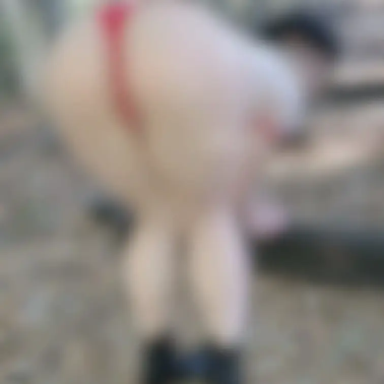 よっこいしょ❤️のポーズ...？🤭
叩きがいのあるお尻🍑　　
