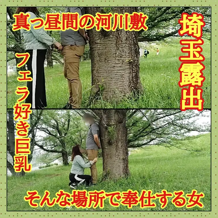 ♥️露出♥️埼玉露出　河川敷でフェラする女

河川敷の桜並木がある場所で囁く
「ここでしゃぶって欲しい」
向こう