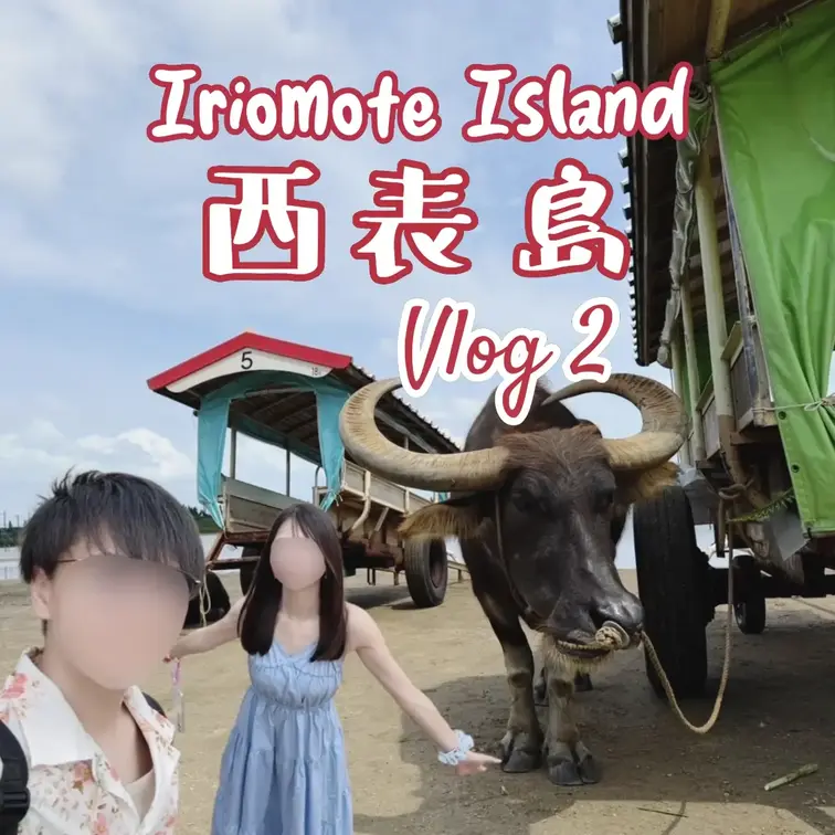 【vlog】西表島vlog🏝️ #２｜全編、まりあ編集🥺💖｜由布島で水牛に乗って川を横断🐃｜カフェでひと休みしながら亜熱