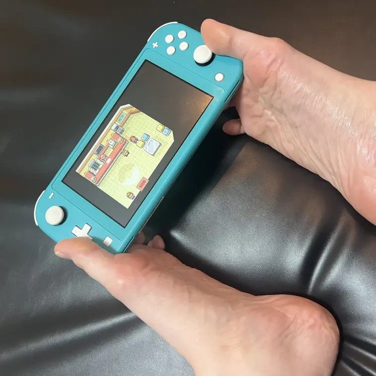 ぽこポケやりたいけどSwitch2未だに買えてないからLGやってる
れなは「その場に出てくる全てのポケモンを捕まえて、