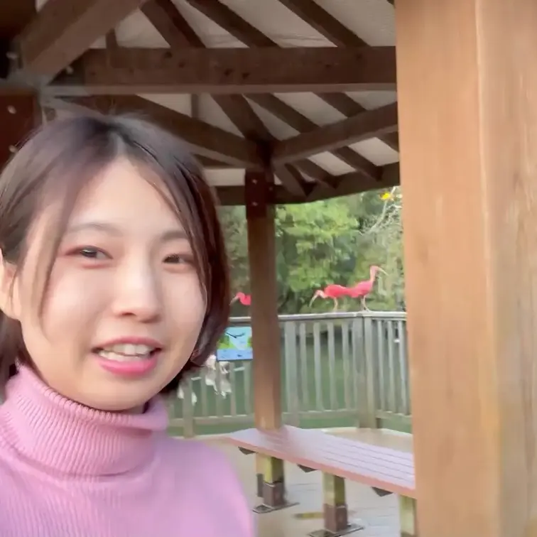 動物園で鳥をみました。おしっこもします。
ほのぼの系の動画です！