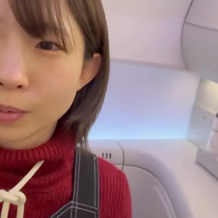旅行の時の機内食と機内でのおしっこ動画です。