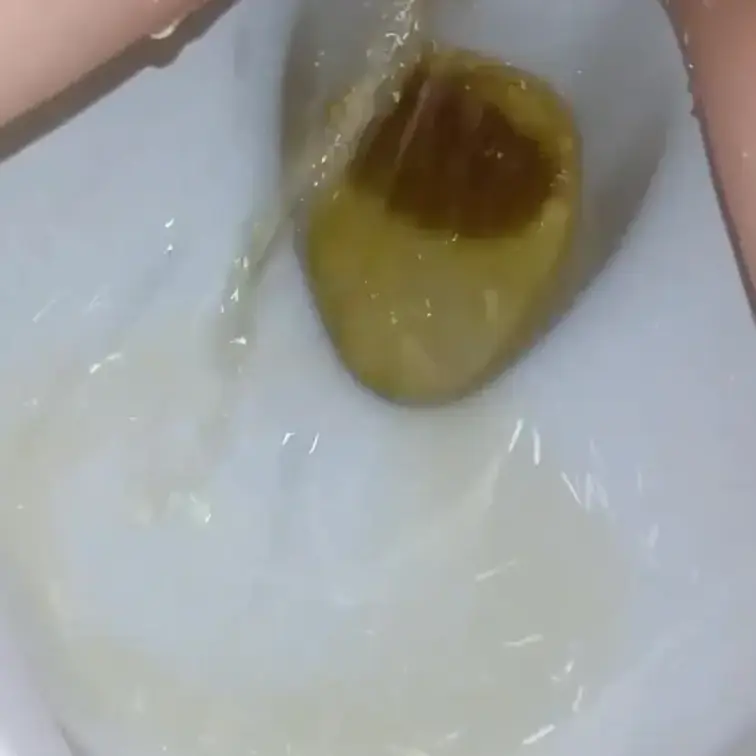 おしっこ動画撮りました🥰
たくさんのご支援よろしくお願いします🙇‍♀️