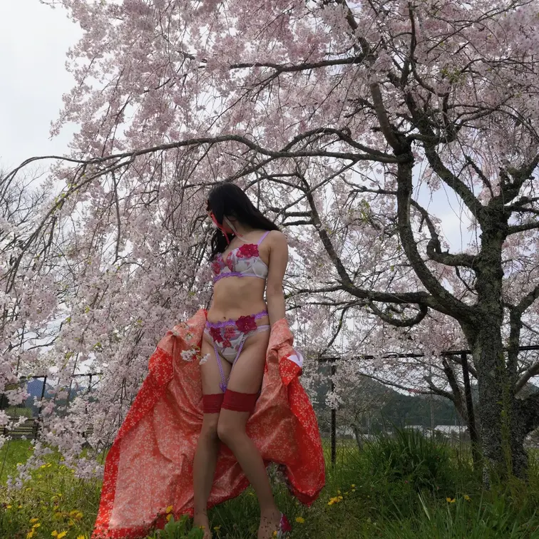 桜と和装って合いますね💕