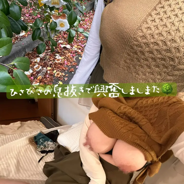 皆さんお久しぶりです✨

るりこです🌸

ワンちゃんの介護って、思いのほか精神的にも体力的にも大変で本当に塞ぎこ