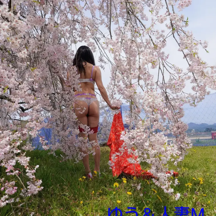 満開の桜の隙間から💕