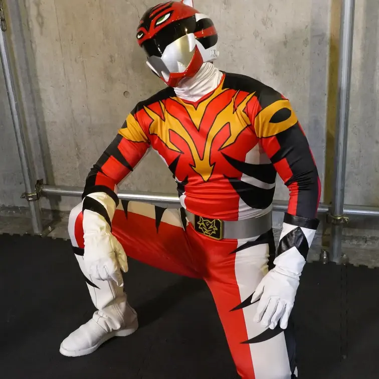 VerLiger1-1